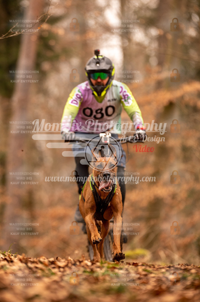 AKM_ST_2023_SAM_Bike-71 | PayLife