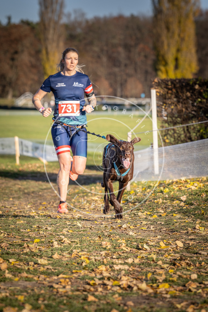 CaniXpix_DV3A2061 | Hundefotografie, Tierfotograf, Pfotenfotografie, Fotoshooting Hund, Hunde Portrait, Hundesport, Hundeportraits, Heideshooting, Hunde, Sportfotograf, Hundefotograf, Turnierhundsport, THS,  - Realisiert mit Pictrs.com