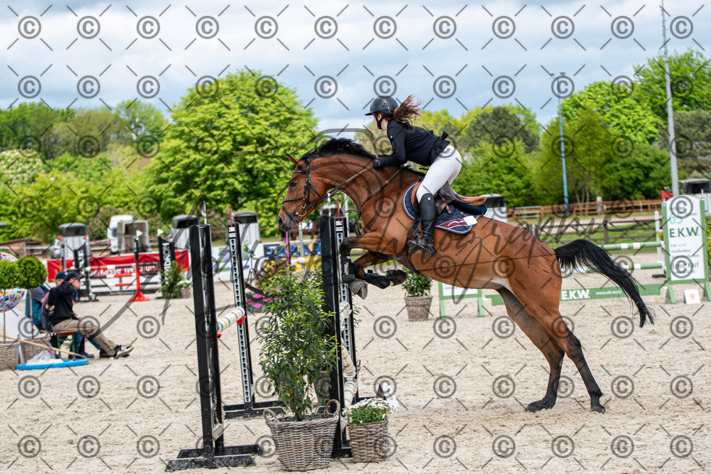 KPT_5741 | andre_photographic