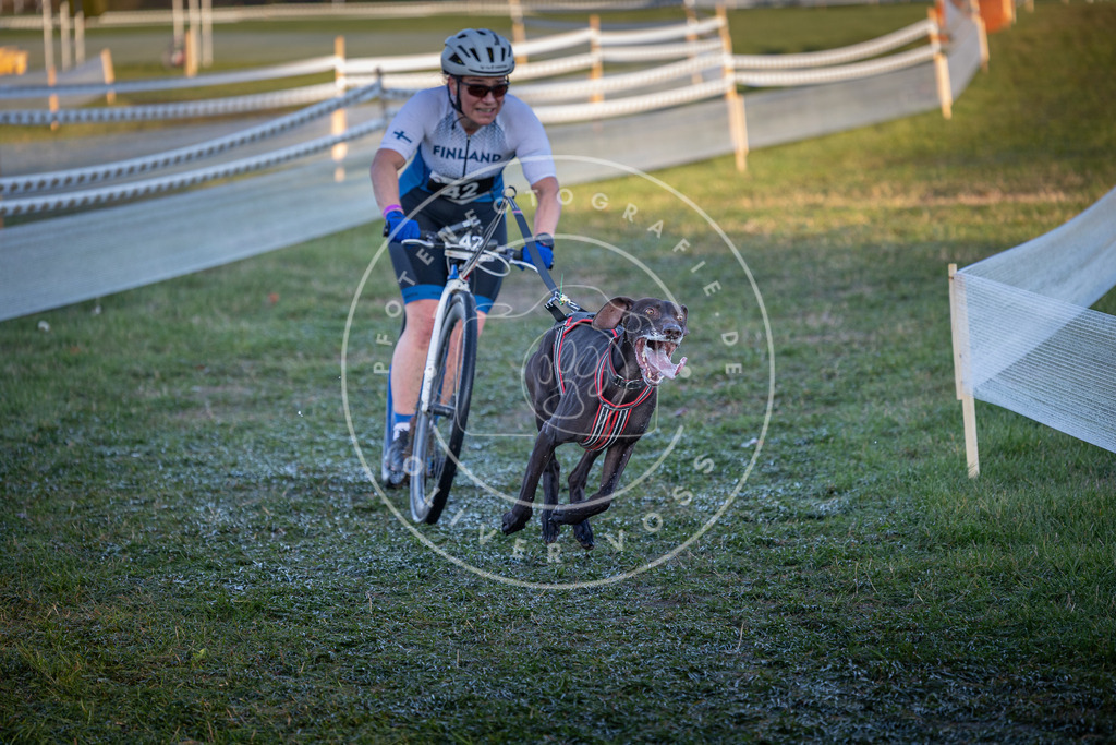 CaniXpix_0L8A2436 | Hundefotografie, Tierfotograf, Pfotenfotografie, Fotoshooting Hund, Hunde Portrait, Hundesport, Hundeportraits, Heideshooting, Hunde, Sportfotograf, Hundefotograf, Turnierhundsport, THS,  - Realisiert mit Pictrs.com