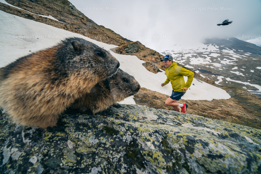 Pre_Grossglockner_Mountain_Run__Peter Maier-972 | piet_flosse