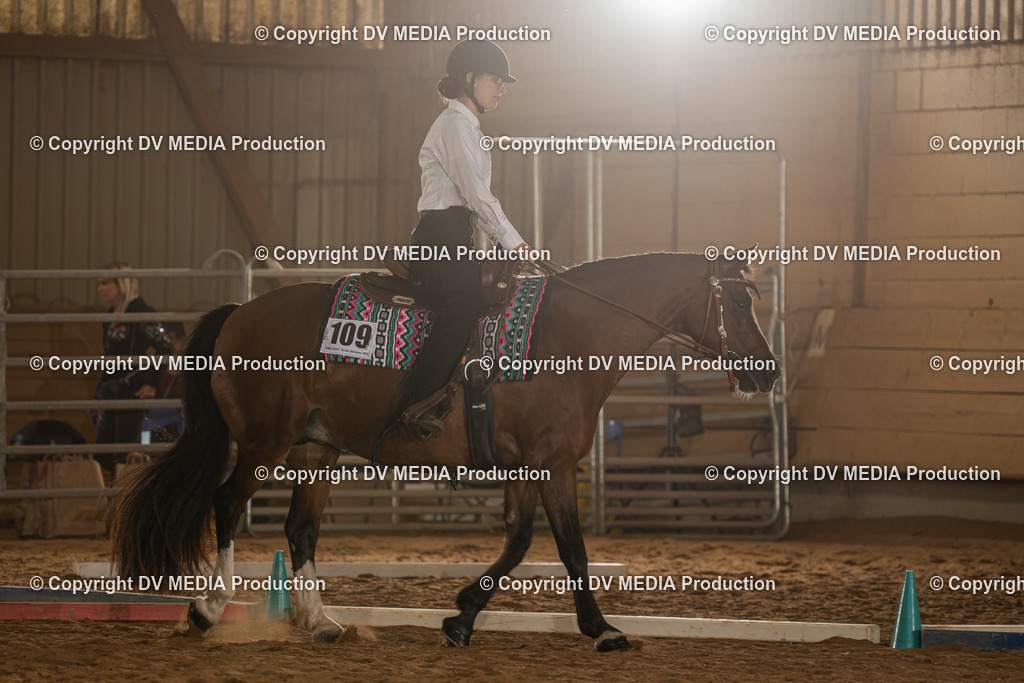 NID02604 | dv-media-shop - Realisiert mit Pictrs.com