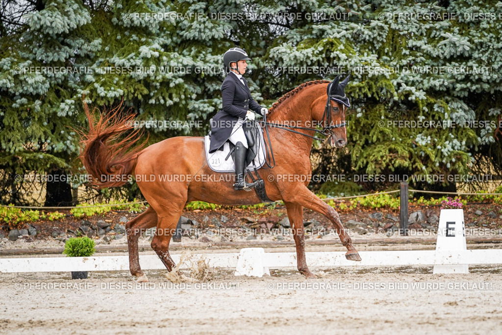 DSC09545 | Pferdegrafie