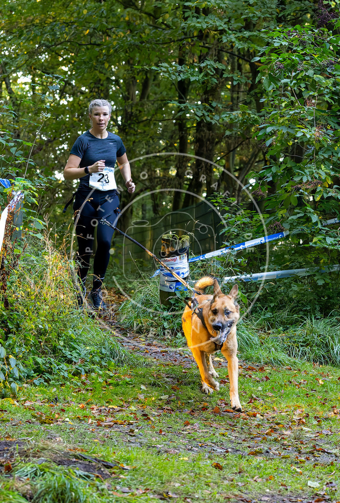 Pfotenfotografie_DV3A6506 | Hundefotografie, Tierfotograf, Pfotenfotografie, Fotoshooting Hund, Hunde Portrait, Hundesport, Hundeportraits, Heideshooting, Hunde, Sportfotograf, Hundefotograf, Turnierhundsport, THS,  - Realisiert mit Pictrs.com