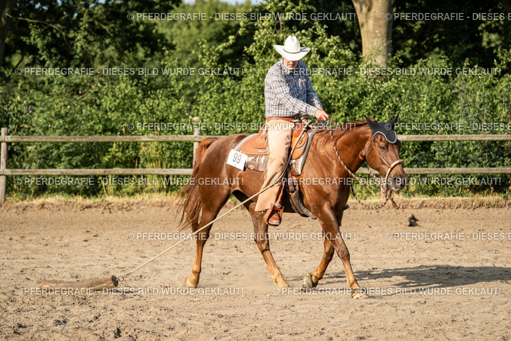 DSC05778 | Pferdegrafie