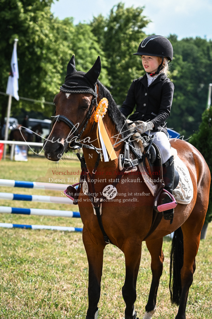 DSC_8600 | Pferde- und Turnierfotografie in Westsachsen. Pferdeportraits, Auftragszeichnungen und intuitive Kunst.