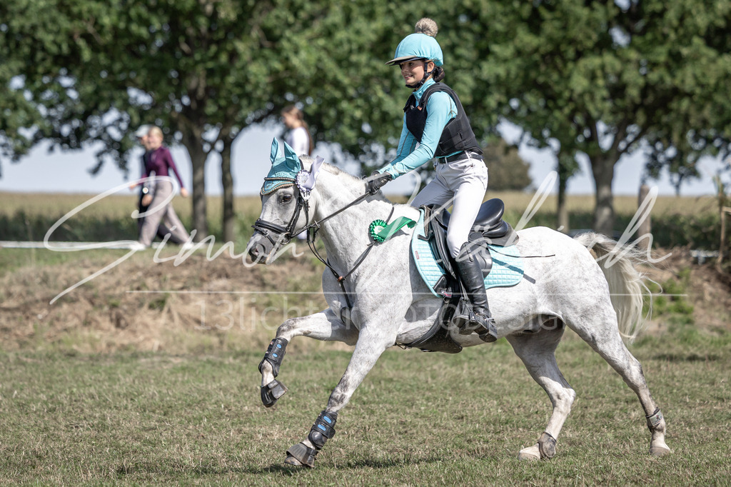 20250907-_3LI0359 | Tierfotografie Pferde, Hunde, Katzen, Haustiere.
Turnierfotografie Reitturniere, Reiten, Springreiten, Dressur in Hanau, dem Main-Kinzig-Kreis und dem Rhein-Main- Gebiet um Frankfurt