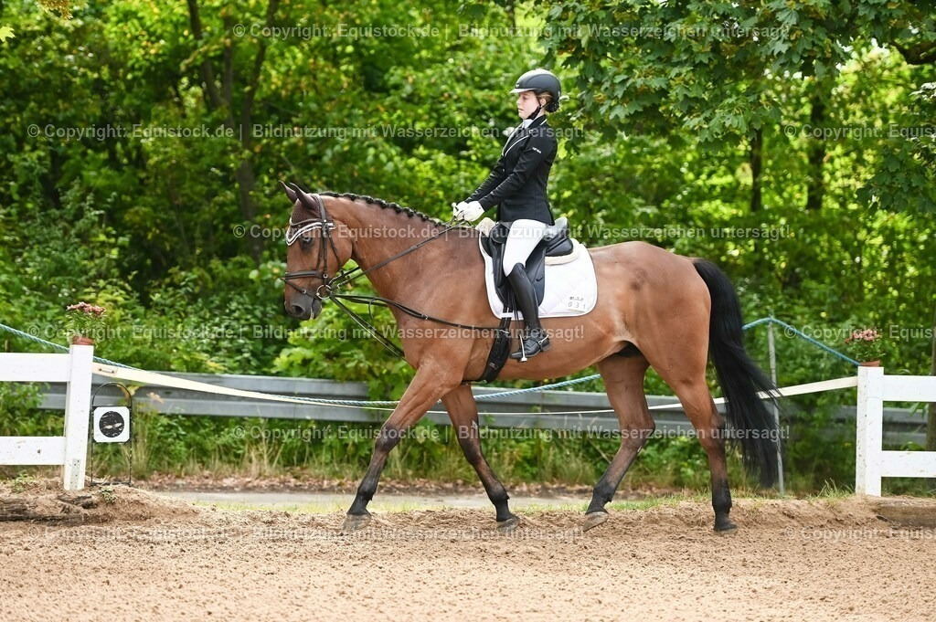 20230716_10-1_Reiter-WB Schritt - Trab - Galopp_0054 | equistock