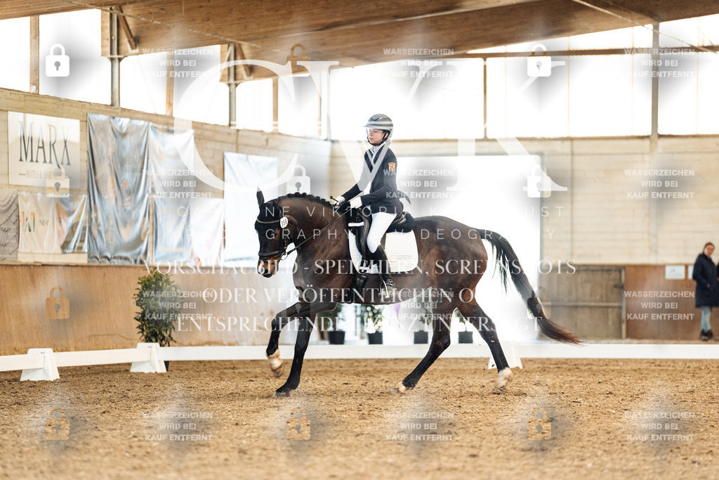 CK909865 | Turnierfotografie Pferdefotografie Trier Rheinland-Pfalz Pferdesport Reitsport Tierfotografie Sportfotografie Pferdevideo Pferdevideografie Equestrianvideography equestrianphotography  - Realisiert mit Pictrs.com