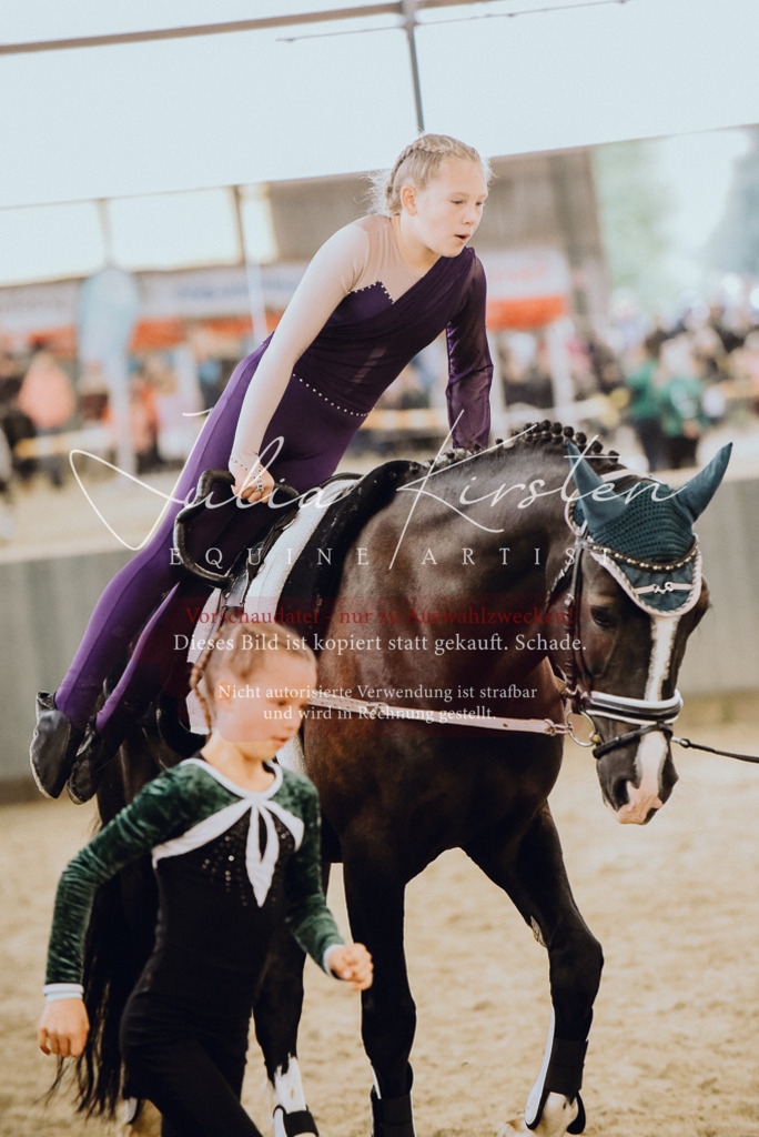 DSC_6878 | Pferde- und Turnierfotografie in Westsachsen. Pferdeportraits, Auftragszeichnungen und intuitive Kunst.