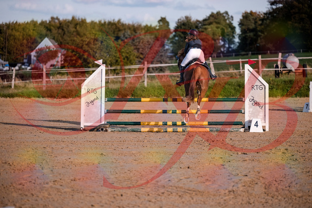 2026_10_03_Siefer-Hof_171217_Z81_09428081 | Professionelle Reitsport-, Turnier- und Eventfotografie von Robert Broda. Galerien mit ausgewählten und bearbeiteten Bildern direkt online ansehen und bestellen.