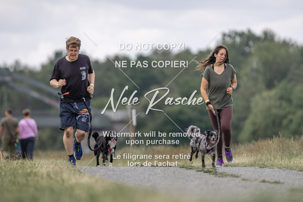 nelerasche_BuHu2026_SaCC1100-1200_162 | nelerasche