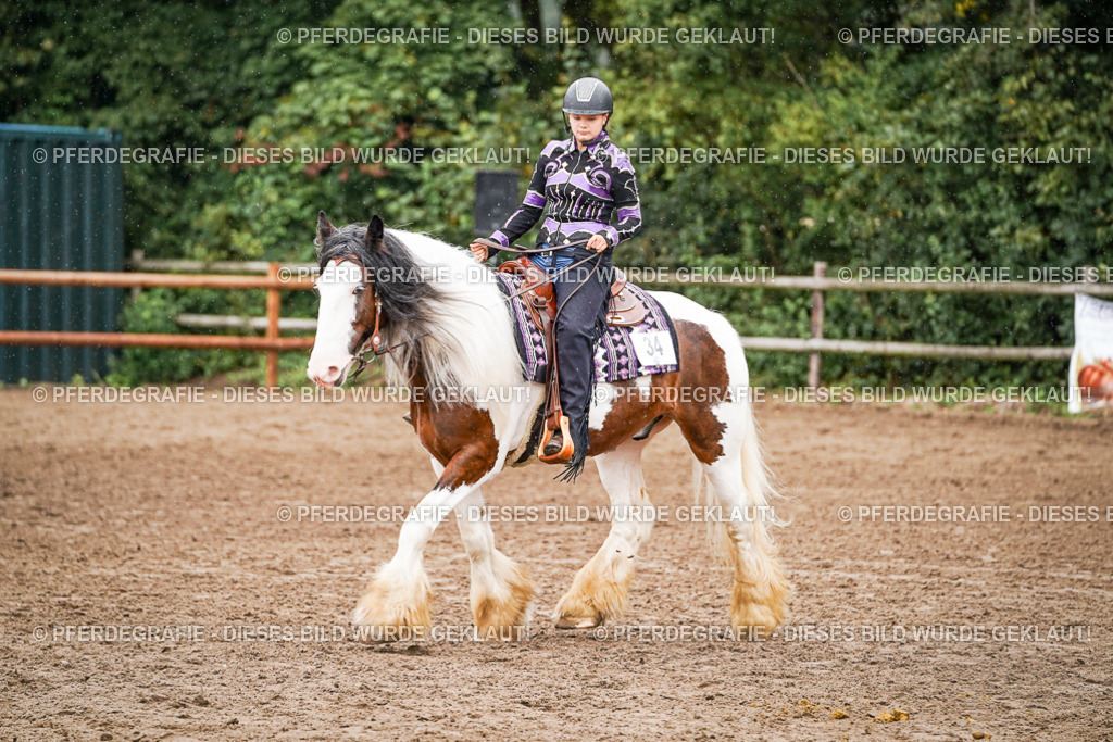 DSC05154 | Pferdegrafie