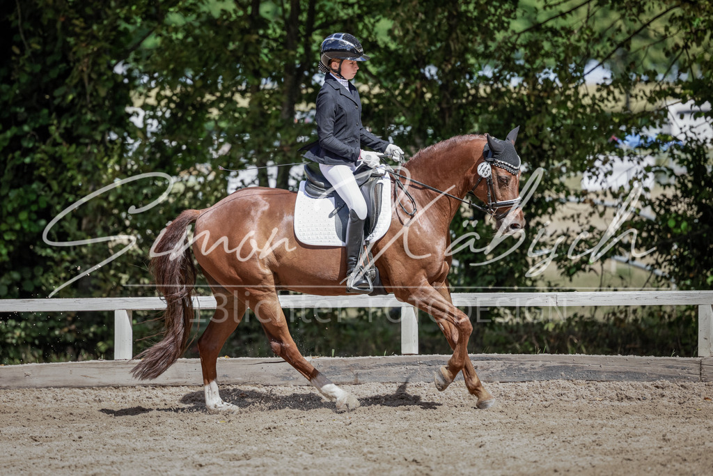 20250906-_3LI5552 | Tierfotografie Pferde, Hunde, Katzen, Haustiere.
Turnierfotografie Reitturniere, Reiten, Springreiten, Dressur in Hanau, dem Main-Kinzig-Kreis und dem Rhein-Main- Gebiet um Frankfurt