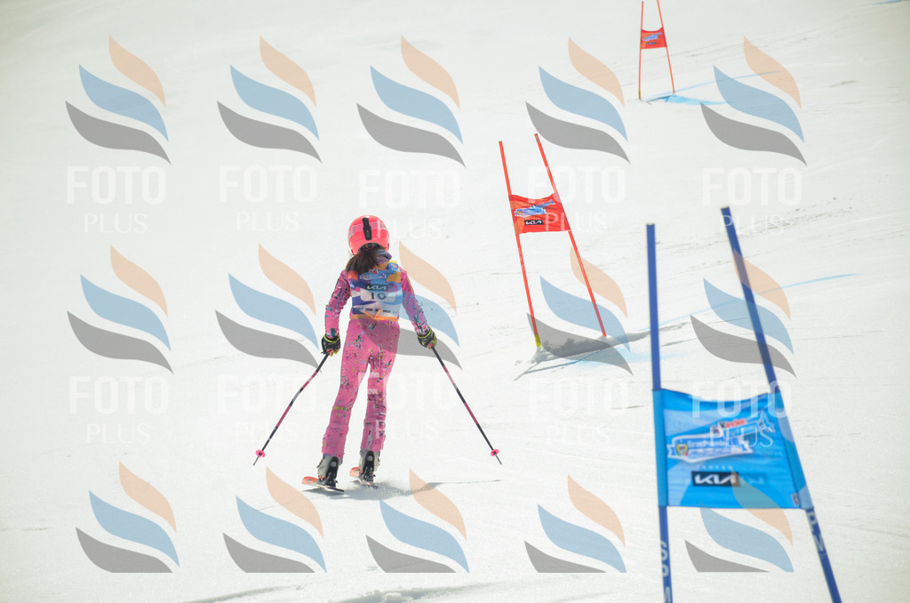 _ELE4671 | holidayphoto