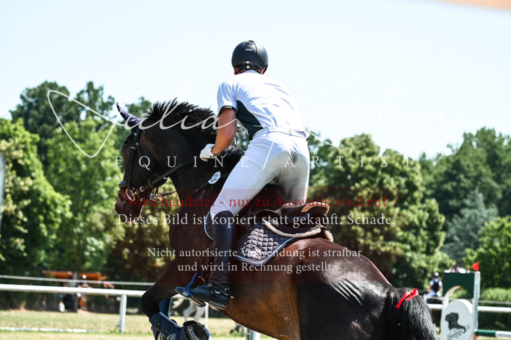 DSC_0339 | Pferde- und Turnierfotografie in Westsachsen. Pferdeportraits, Auftragszeichnungen und intuitive Kunst.