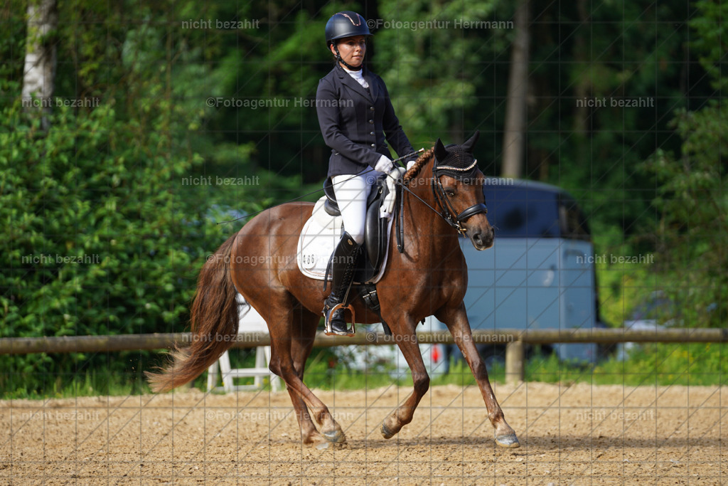 20240706-FAH04410 | Grafing Turnierfotos, Reitverein Ebersberg, Turnierfotografen Bayern, reitsportbilder, Pferdefotograf, reitsportfotograf, Sportbilder, Reitsportfotografie, Fotoagentur Herrmann, Turnierfotograf