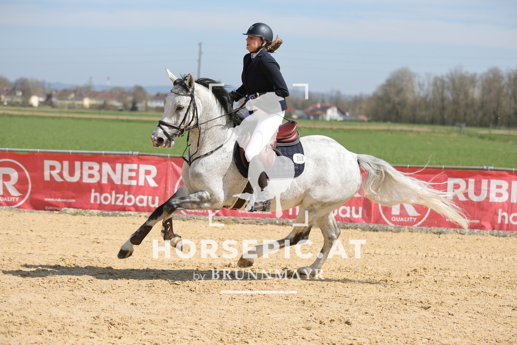 0P6A0296 | Willkommen bei Brunnmayr - Design & Fotografie – Ihrem Spezialisten für Reitturniere und Pferdeveranstaltungen in Oberösterreich, Salzburg und Bayern! Seit über 17 Jahren sind wir leidenschaftlich dabei.