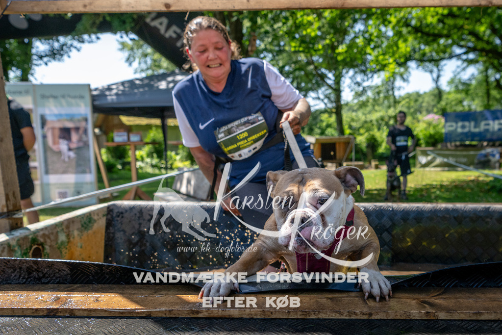 1249_ZZ92560 | kk-dogfotos