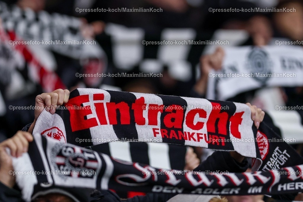 SGE30112501039 | 30.11.2025, Fußball, Eintracht Frankfurt - VfL Wolfsburg, 1. Fußball Bundesliga, 12. Spieltag, Deutsche-Bank-Park (Frankfurt am Main), Saison 2025 2026: Fans Fan Schal Fanschal Schalparade Schriftzug  DFB Regulations prohibit any use of photographs as image sequences and or quasi-video.