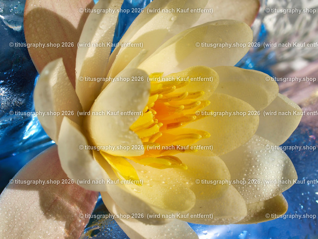 titusgraphy_vz-ln | titusgraphy-shop: Geschenkideen mit Qualitätsfotos. titusgraphy-shop: gift ideas with quality photos. titusgraphy-shop: idées cadeaux avec photos de qualité.  - Realisiert mit Pictrs.com