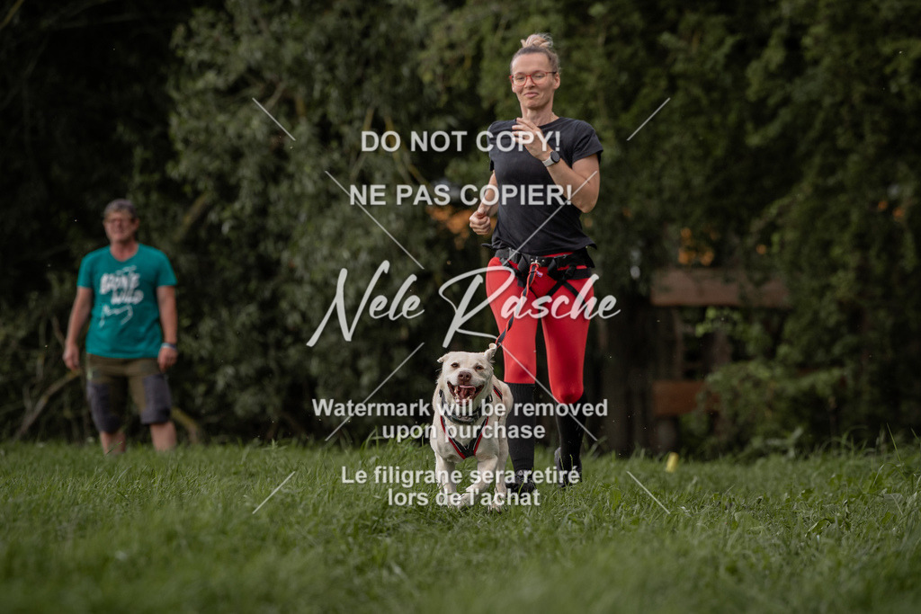 nelerasche_DoN_162 | nelerasche