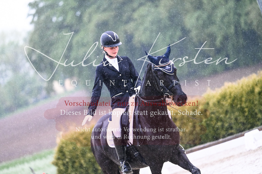 DSC_4753 | Pferde- und Turnierfotografie in Westsachsen. Pferdeportraits, Auftragszeichnungen und intuitive Kunst.