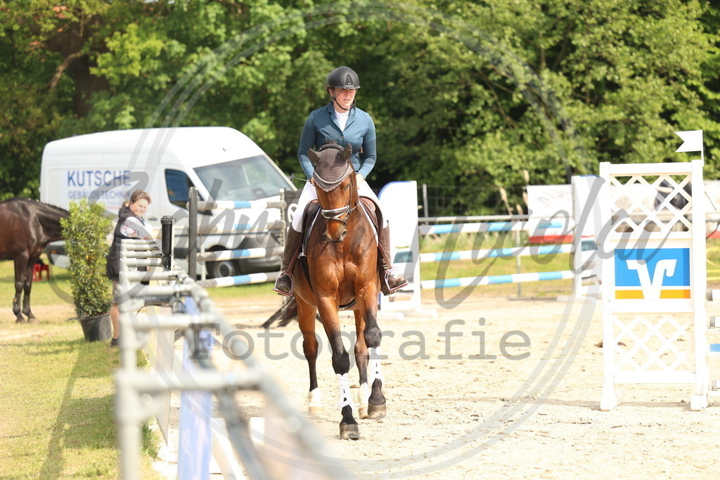 994A7810 | sabrinanicolaifotografie - Realisiert mit Pictrs.com