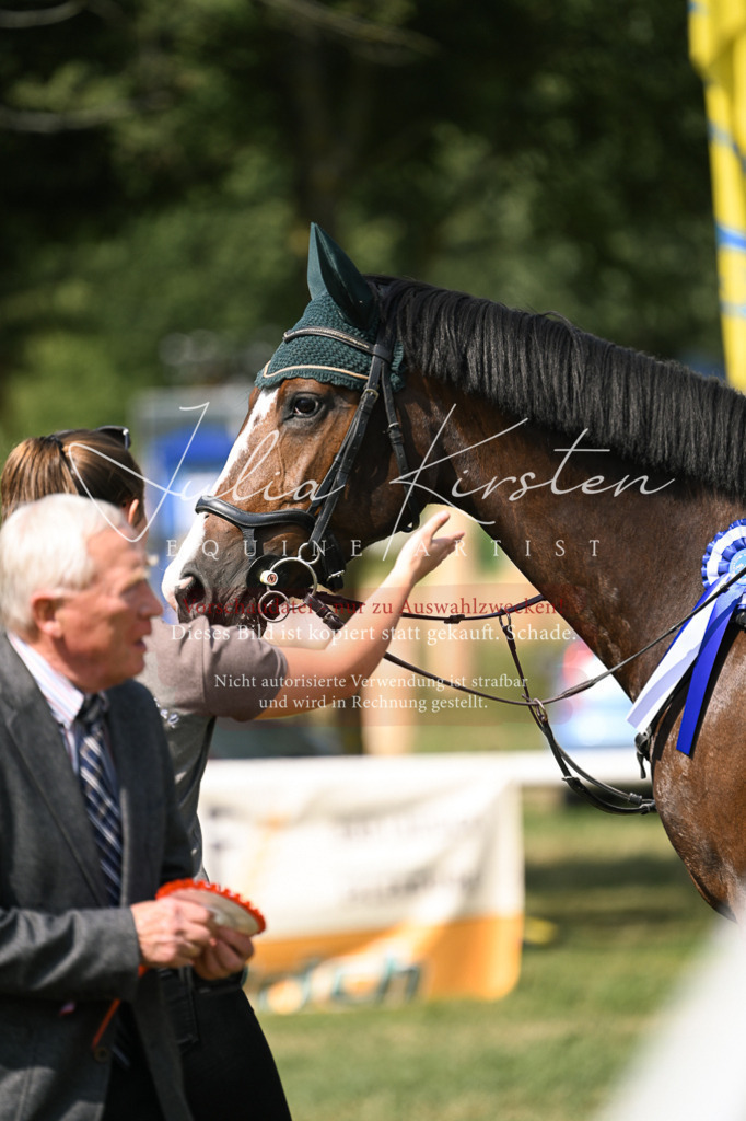 DSC_0701 | Pferde- und Turnierfotografie in Westsachsen. Pferdeportraits, Auftragszeichnungen und intuitive Kunst.