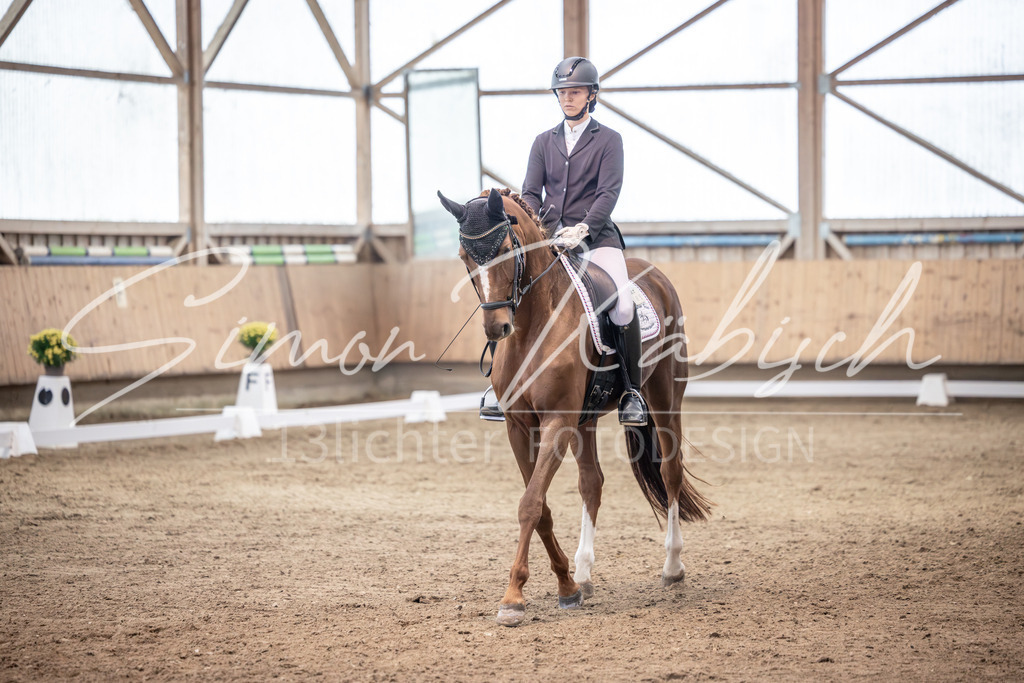 20251011-_3LI1844 | Tierfotografie Pferde, Hunde, Katzen, Haustiere.
Turnierfotografie Reitturniere, Reiten, Springreiten, Dressur in Hanau, dem Main-Kinzig-Kreis und dem Rhein-Main- Gebiet um Frankfurt