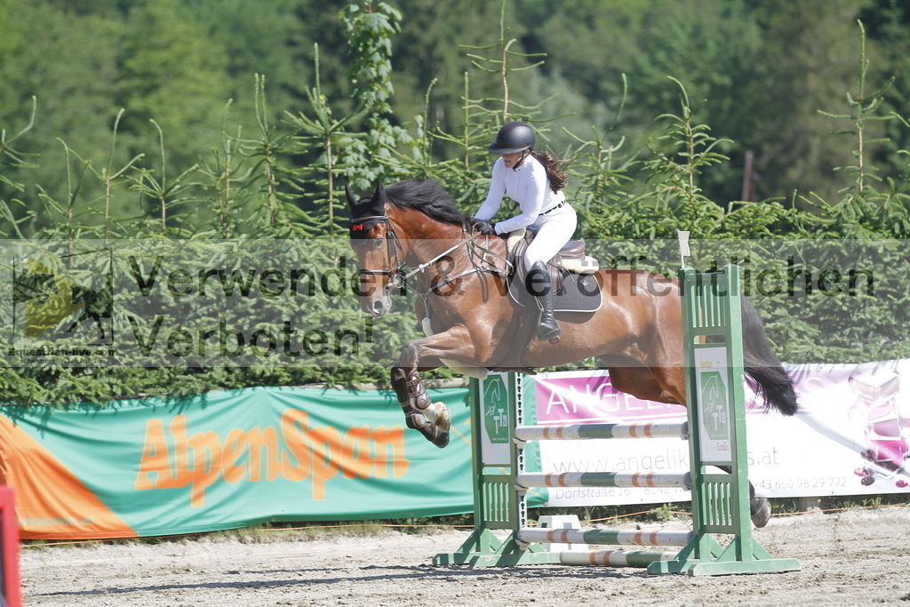 _MG_8441 | equestrian-live-com