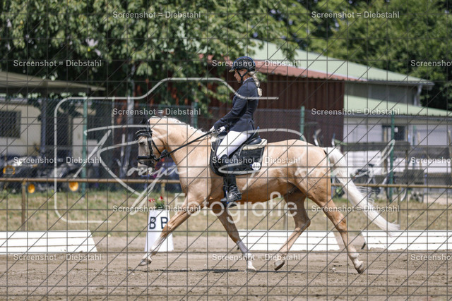 _W6A5070 | ronjaprokoschfotografie - Realisiert mit Pictrs.com