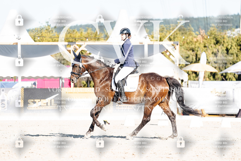 CK907344 | Turnierfotografie Pferdefotografie Trier Rheinland-Pfalz Pferdesport Reitsport Tierfotografie Sportfotografie Pferdevideo Pferdevideografie Equestrianvideography equestrianphotography  - Realisiert mit Pictrs.com