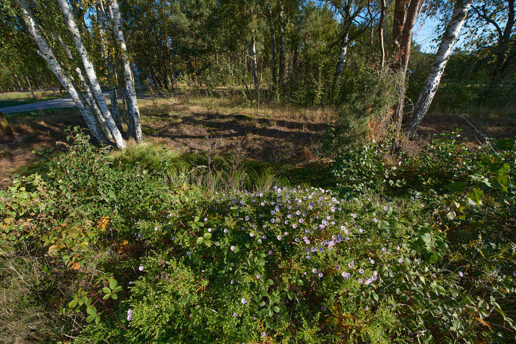 Schweißgraben Maasdorf 03 | Bedeutsame Landschaften Deutschlands - Realisiert mit Pictrs.com