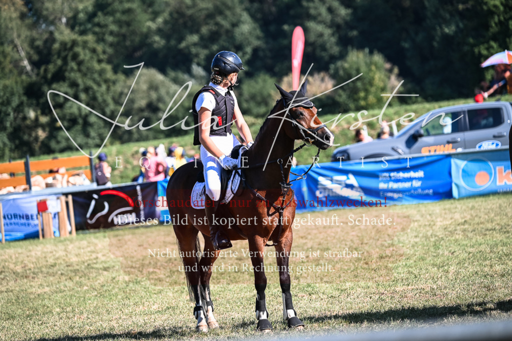 DSC_7097 | Pferde- und Turnierfotografie in Westsachsen. Pferdeportraits, Auftragszeichnungen und intuitive Kunst.