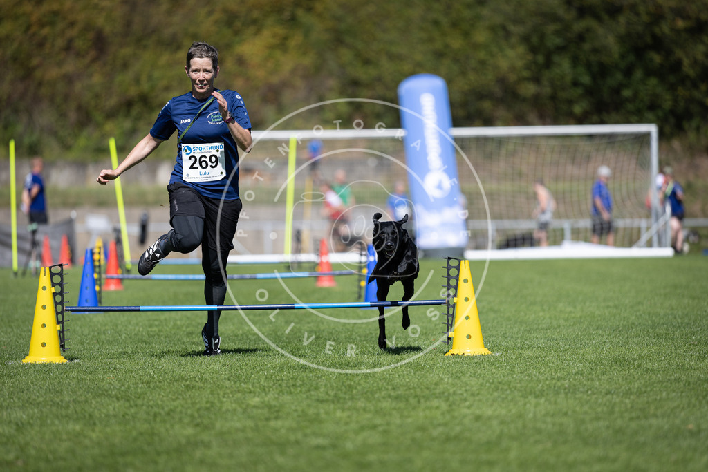 Pfotenfotografie_DV3A6782 | Hundefotografie, Tierfotograf, Pfotenfotografie, Fotoshooting Hund, Hunde Portrait, Hundesport, Hundeportraits, Heideshooting, Hunde, Sportfotograf, Hundefotograf, Turnierhundsport, THS,  - Realisiert mit Pictrs.com
