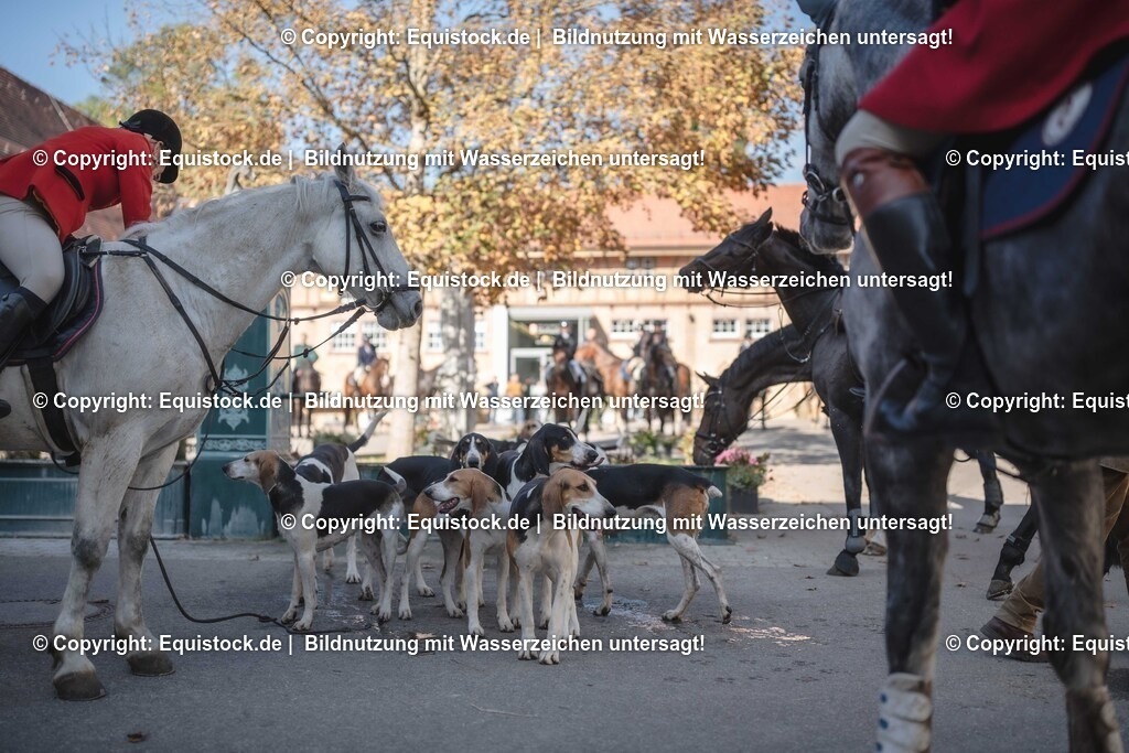 20251011_Jagd-Marbach_0630 | Foto: Thomas Hartig