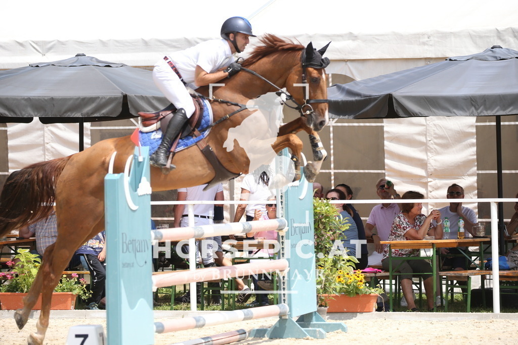 DL2Q0126 | Willkommen bei Brunnmayr - Design & Fotografie – Ihrem Spezialisten für Reitturniere und Pferdeveranstaltungen in Oberösterreich, Salzburg und Bayern! Seit über 17 Jahren sind wir leidenschaftlich dabei.