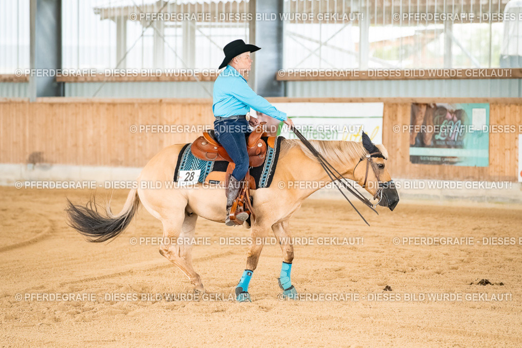 DSC02242 | Pferdegrafie