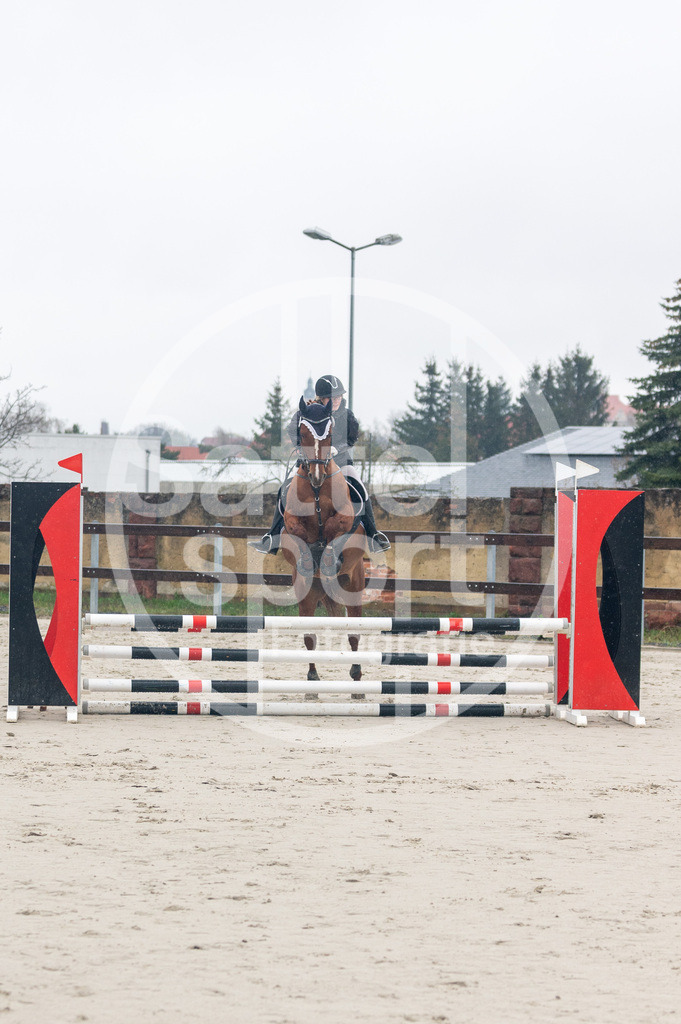 DSC_8234 | sattelsport - Realisiert mit Pictrs.com