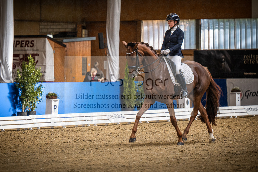 DOS_0628 | Entdecke hochwertige Reitturnierfotos von Foto Oger. Professionell, emotional und authentisch – jetzt Lieblingsmomente im Shop bestellen.Deutschlandweite Turnierfotografie. - Realisiert mit Pictrs.com