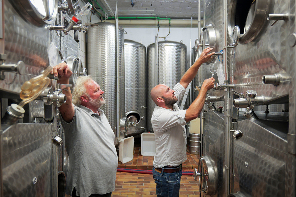 Dippon | Beilstein - Bio-Weingut Schlossgut Hohenbeilstein mit Joscha Dippon und sein Vater Hartmann Dippon - Realisiert mit Pictrs.com