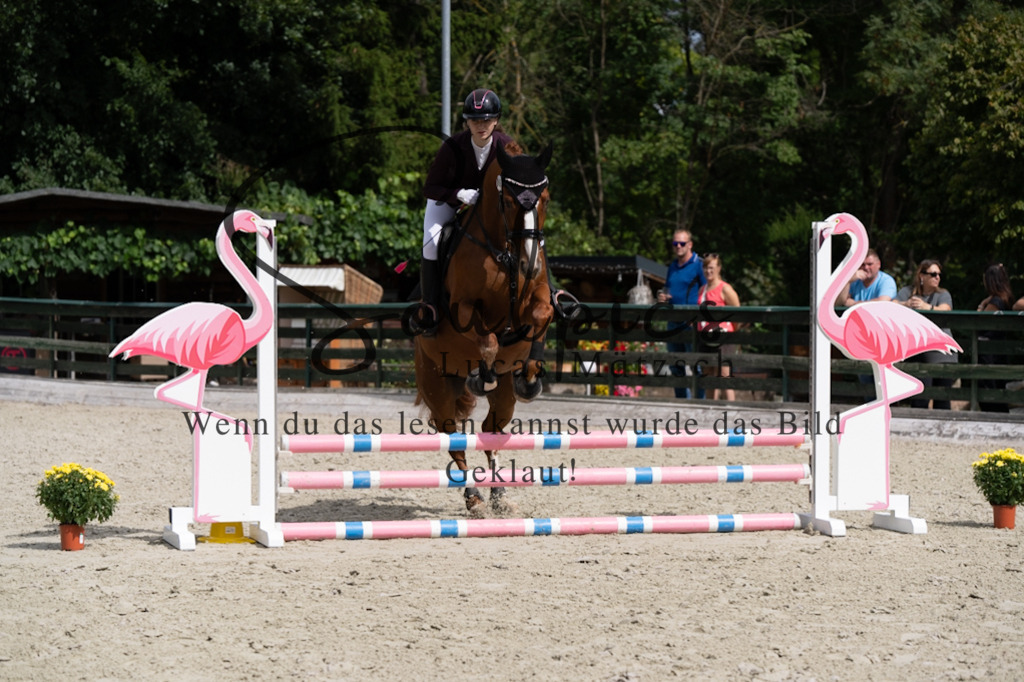 A7V07184 | Pferdefotograf