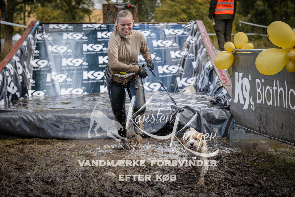 1530_ZZ94759 | kk-dogfotos