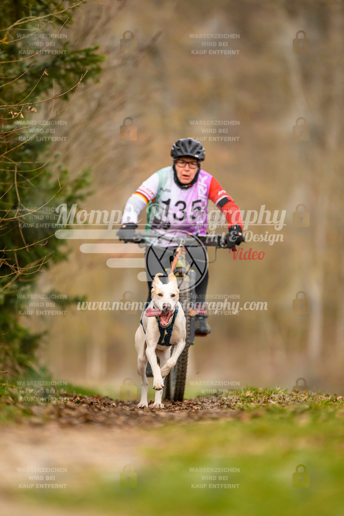 MompixPhotography_Schwabentrail2024_Bike-126 | PayLife