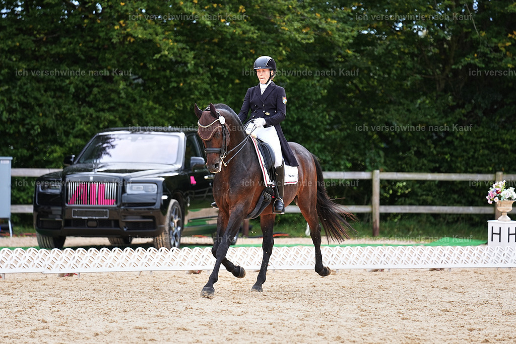 11-215-Dressur S___-Marixx-1748 | working equitationturnier fotograf videograf stoibphotography marixx film working equitation deutschland reitsport turnierfotografie eventfotografie equestrian events