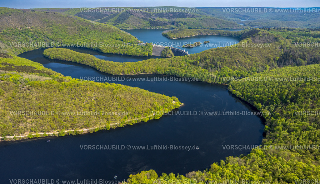 Schleiden240502000Eifel_Urfttalsperre | Luftbild, Fluss Rur und Urfttalsperre Urftsee, Fernsicht Waldgebiet Hügel und Täler, Nordeifel Nationalpark Eifel, Rurberg, Simmerath, Nordrhein-Westfalen, Deutschland