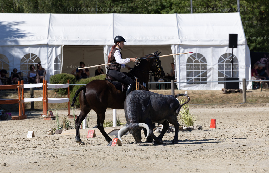 WL_Speed_25_KerstinBernhardt-8 | working equitationturnier fotograf videograf stoibphotography marixx film working equitation deutschland reitsport turnierfotografie eventfotografie equestrian events