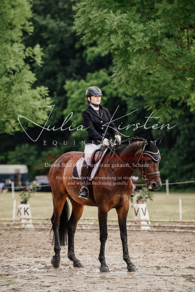 DSC_0743 | Pferde- und Turnierfotografie in Westsachsen. Pferdeportraits, Auftragszeichnungen und intuitive Kunst.