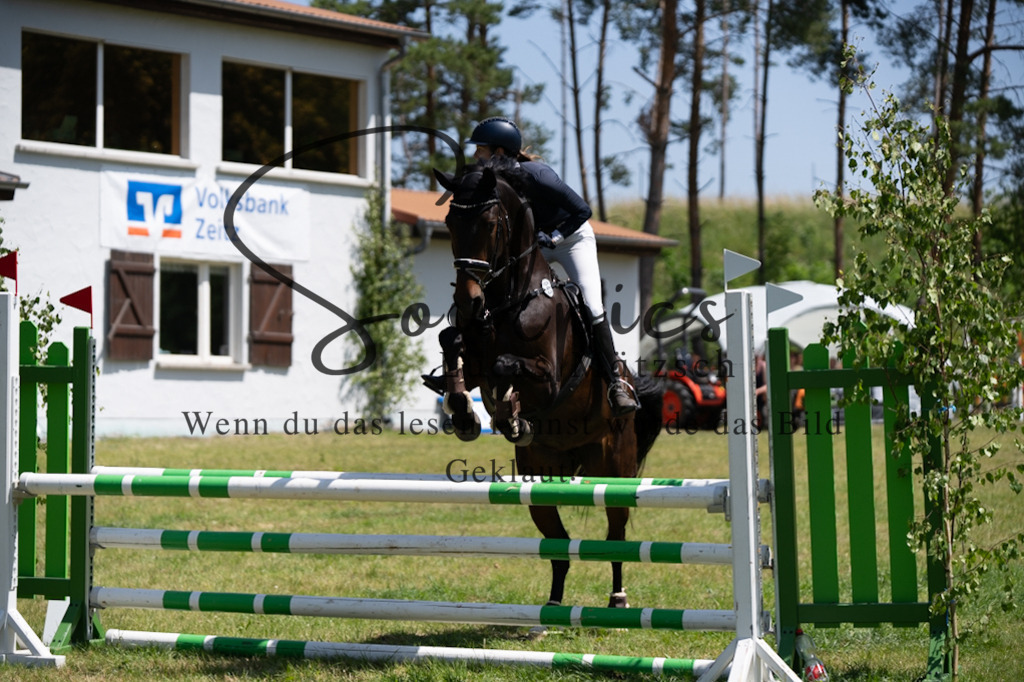 A7V06006 | Pferdefotograf